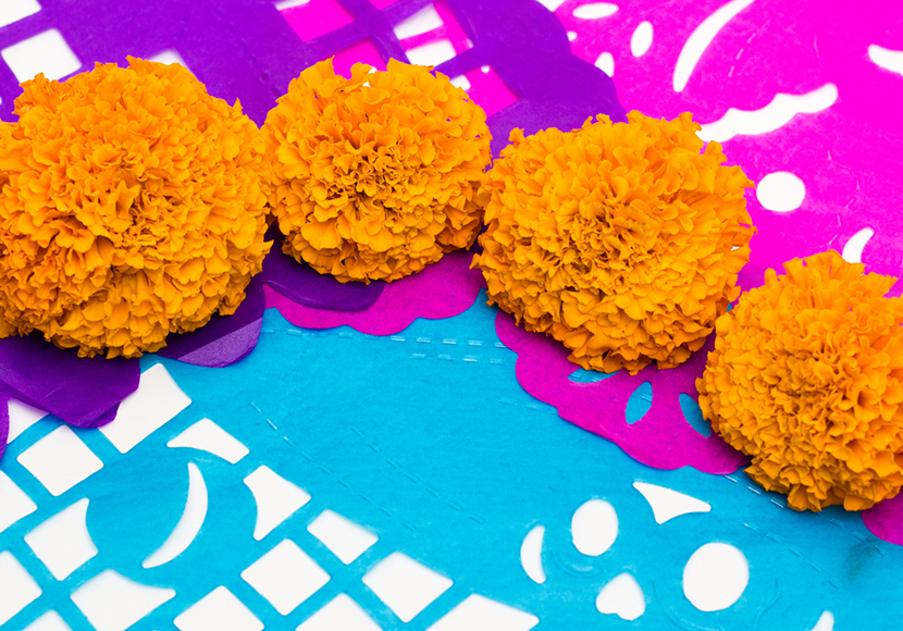 Paisajes de cempasúchitl / Cempasúchitl Landscapes